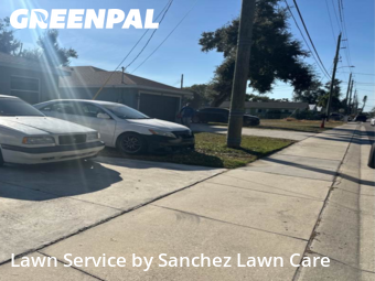 Yard Cutting nearby Palmetto, FL, 