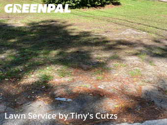 Lawn Mow nearby Valdosta, GA, 