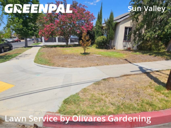 Lawn Mowing nearby North Hollywood, CA, 