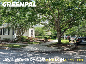 Yard Cutting nearby Kissimmee, FL, 