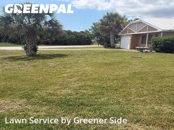 Lawn Cut nearby Port Charlotte, FL, 