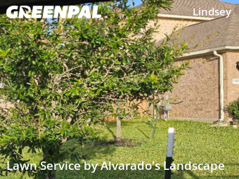Lawn Cutin Atascocita,77346,Grass Cutting by Alvarado's Landscape, work completed in Dec , 2025