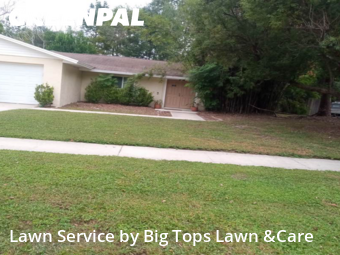 Lawn Cuttingin Altamonte Springs,32701,Yard Mowing by Big Tops Lawn &Care, work completed in Nov , 2025