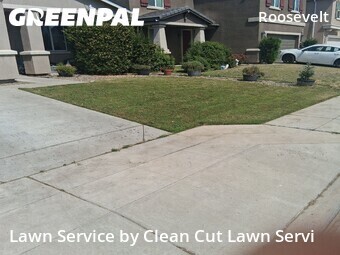 Work completed by lawn-maintenance-in in Fresno, CA
