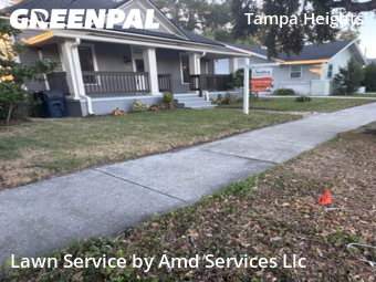 Lawn Servicein Tampa,33602,Grass Cutting by Amd Services Llc, work completed in Nov , 2025