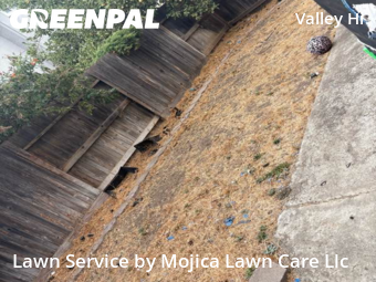 Work completed by residential-lawn-cutting-businesses-in-Elk Grove-CA