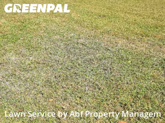 Lawn Mowing Service nearby Lenoir City, TN, 