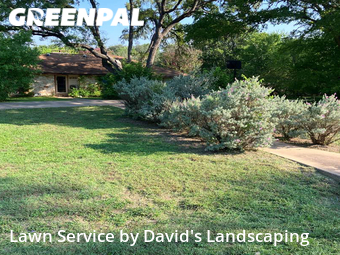 Lawn Care nearby Buda, TX, 