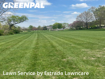 Lawn Mow nearby Auburn, KS, 