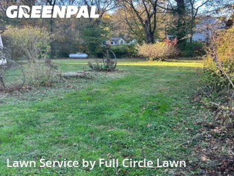 Grass Cutting nearby California, OH, 