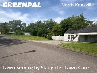 Lawn Cut nearby Knoxville, TN, 