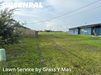 Grass Cut nearby Harlingen, TX, 