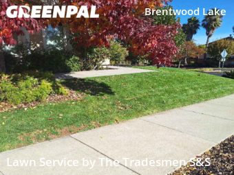 Lawn Cut nearby Brentwood, CA, 