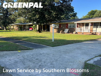 Lawn Mow nearby Fort Walton Beach, FL, 