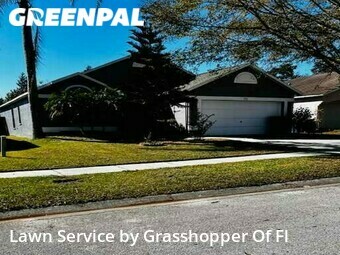 Lawn Care nearby Valrico, FL, 
