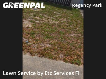 Lawn Cut nearby Port Richey, FL, 