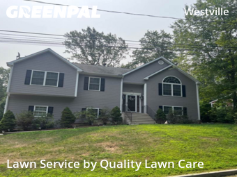 Weed Trimming in New Haven, 6515, Garden Trimming by Quality Lawn Care, work completed in Nov , 2025