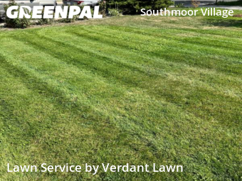 Lawn Mowing nearby Fort Collins, CO, 