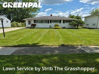 Grass Cut nearby Bedford Heights, OH, 