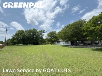 Lawn mowed in Temple, 76502