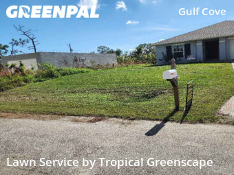 Yard Cutting nearby Port Charlotte, FL, 