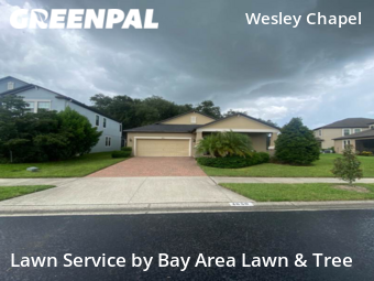 Grass Cutting nearby Wesley Chapel, FL, 