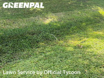 Yard Cutting nearby Palm Coast, FL, 