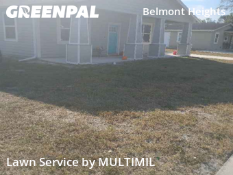 Landscaper In Tampa,33610,Landscaping Renovation by MULTIMIL , work completed in Nov , 2025