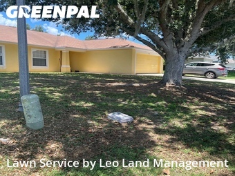 Lawn Cut nearby Lakeland, FL, 