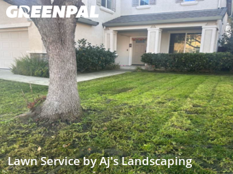 lawn-care-services-in-Manteca-CA