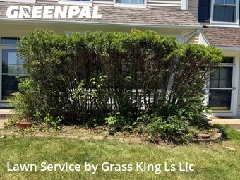 Grass Cutting nearby Woodbridge, VA, 