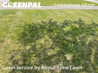 Grass Cut nearby Detroit, MI, 