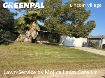 Landscaping In Sacramento,95827,Landscaping Cleanup by Mojica Lawn Care Llc, work completed in Jan , 2026
