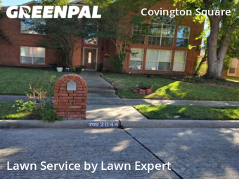 Grass Cut nearby Plano, TX, 