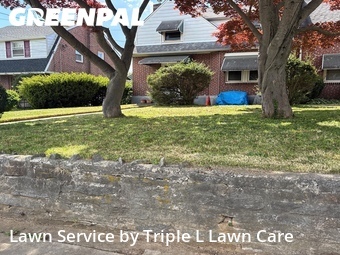 Yard Cutting nearby Yeadon, PA, 