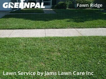 Yard Mowing nearby Tampa, FL, 