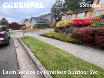 Lawn Management in Bellevue, 98006, Garden Trimming by Limitless Outdoor Svc, work completed in Nov , 2025