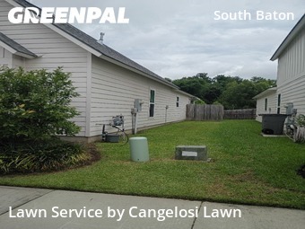 Yard Cutting nearby Baton Rouge, LA, 