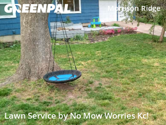 Lawn Mow nearby Mission, KS, 