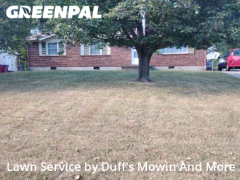 Yard Cutting nearby Clarksville, TN, 