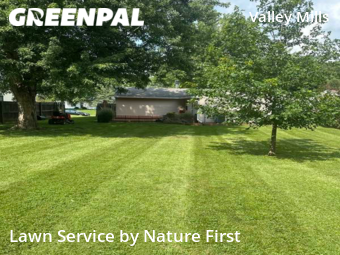 Yard Mowing nearby Indianapolis, IN, 