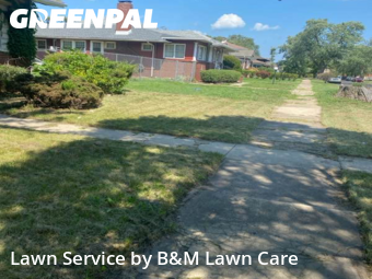 Lawn Cutting nearby Gary, IL, 
