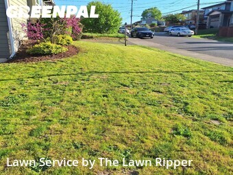 Lawn Care nearby Seattle, WA, 