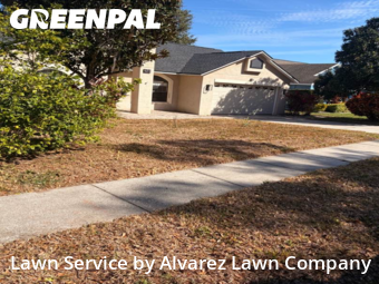 Lawn Care Servicein Ocoee,34761,Lawn Mow by Alvarez Lawn Company, work completed in Feb , 2026