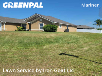 Grass Cut nearby Cape Coral, FL, 