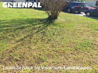 Lawn Cut nearby Concord, NC, 