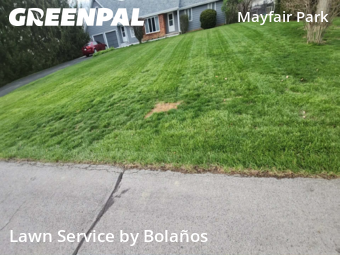 Grass Cut nearby Grove City, OH, 