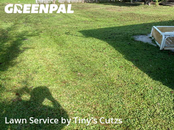 Grass Cut nearby Valdosta, GA, 