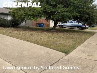 Turf Services in Allen, 75002, Weed Trimming by Sculpted Greens , work completed in Nov , 2025