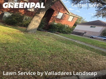 Lawn Servicein Houston,77066,Yard Mowing by Valladares Landscap, work completed in Nov , 2025